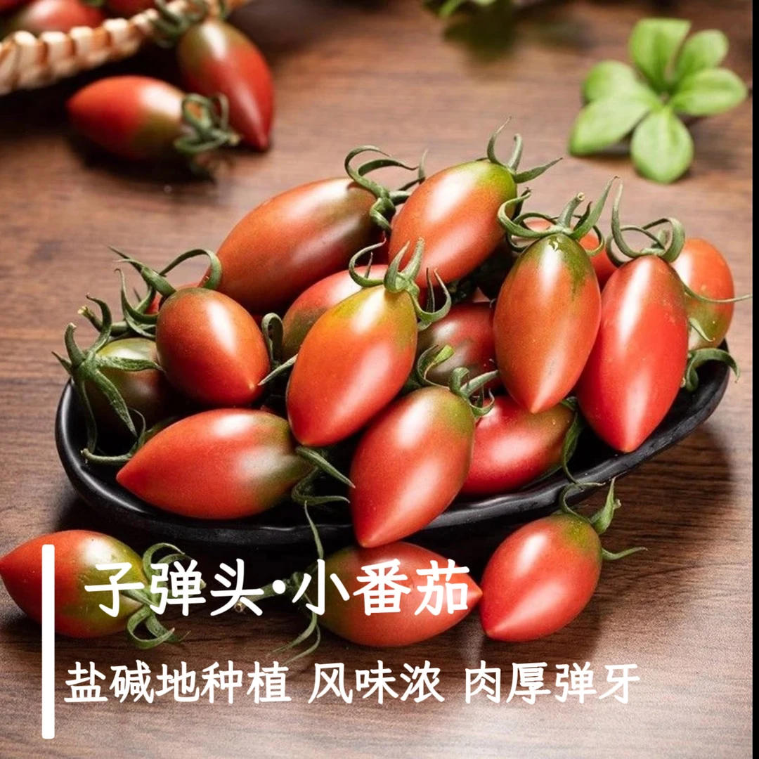 【顺丰】福建露天盐碱地子弹头小番茄圣女果 清脆爽口酸甜多汁