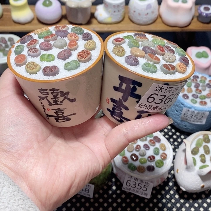 带盆土植物 一物一拍6360