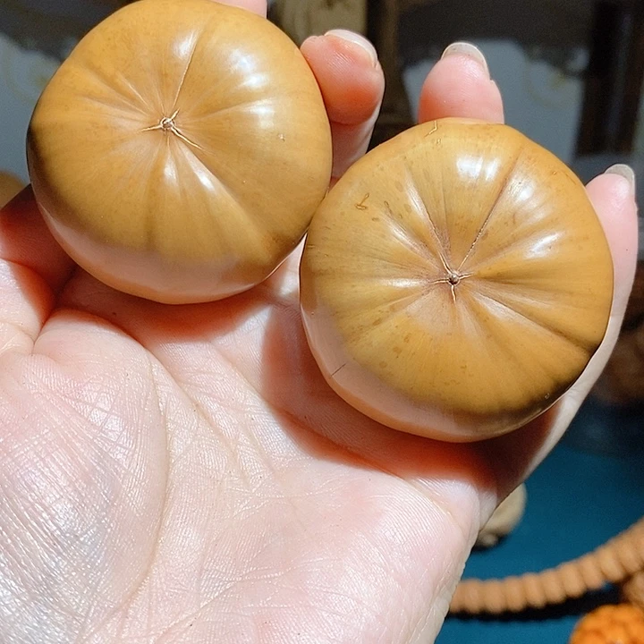 野生菩提籽紫金钵果49