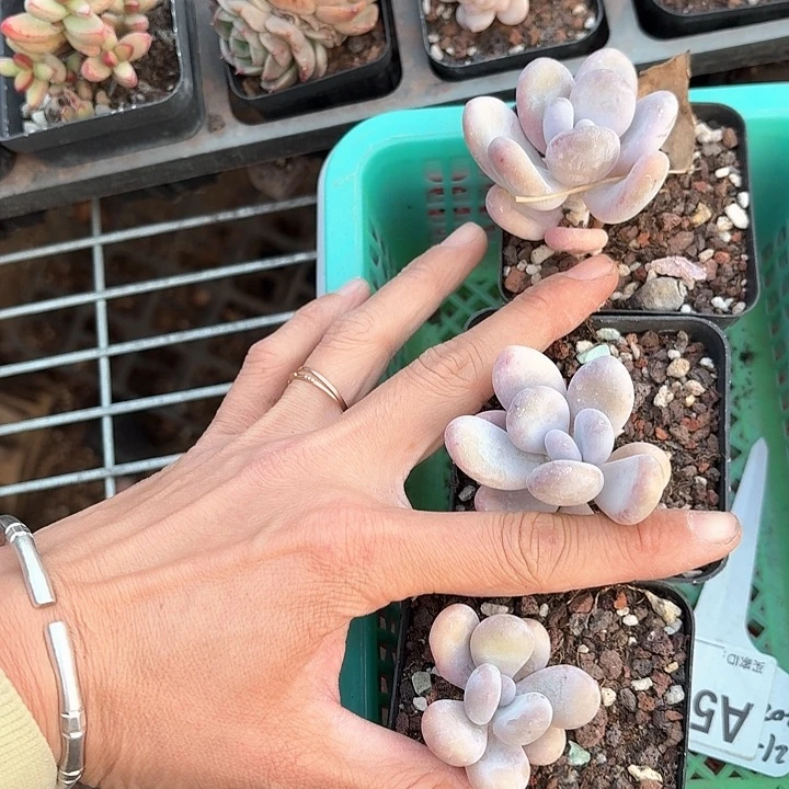 K***勋b b b b b b b b 561