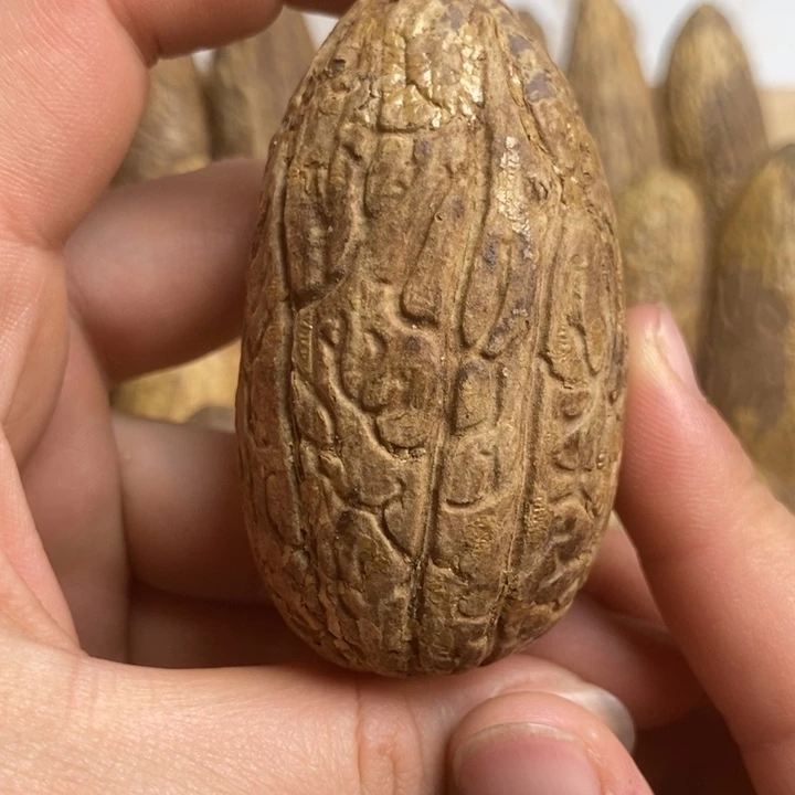 小***糊千眼菩提把件菩提