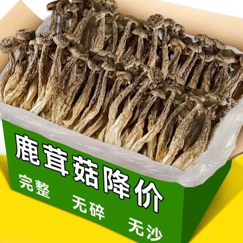 【无干燥剂】正宗甄选鹿茸菇干货炒菜炖汤食材脆脆菇鹿茸菌整根不碎
