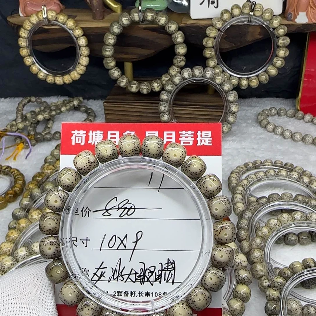 叫**文海南荷塘星月菩提11