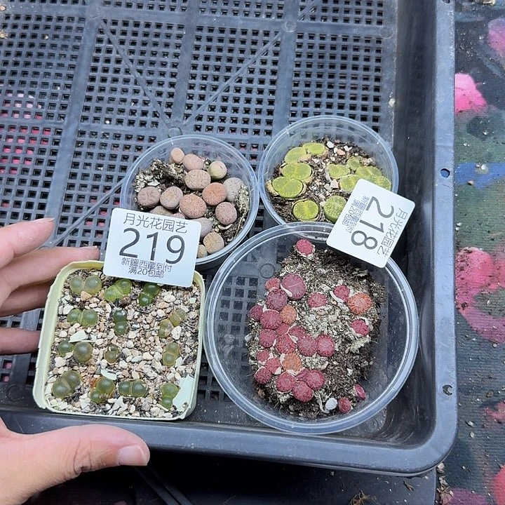 K***安这个点睡一回是有意义219