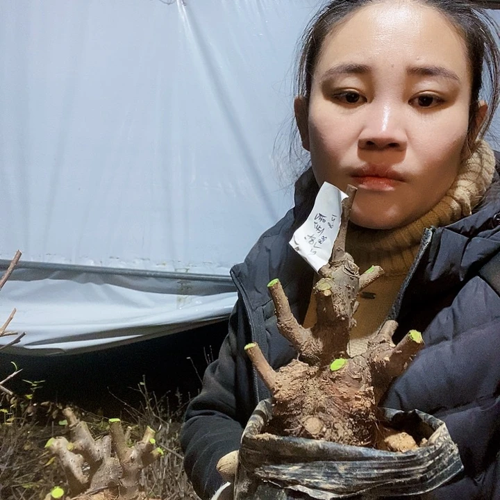 完全开放居*龙1111111111