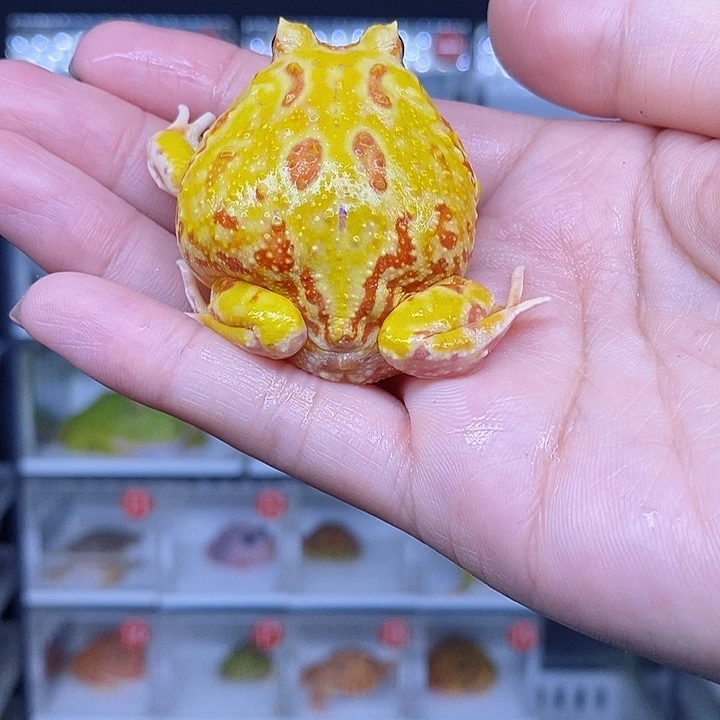 特价秒杀现货特价