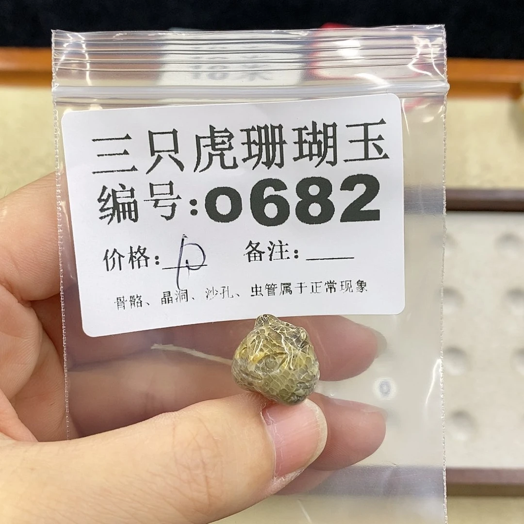 硅化珊瑚（珊瑚玉）1未镶嵌晨*