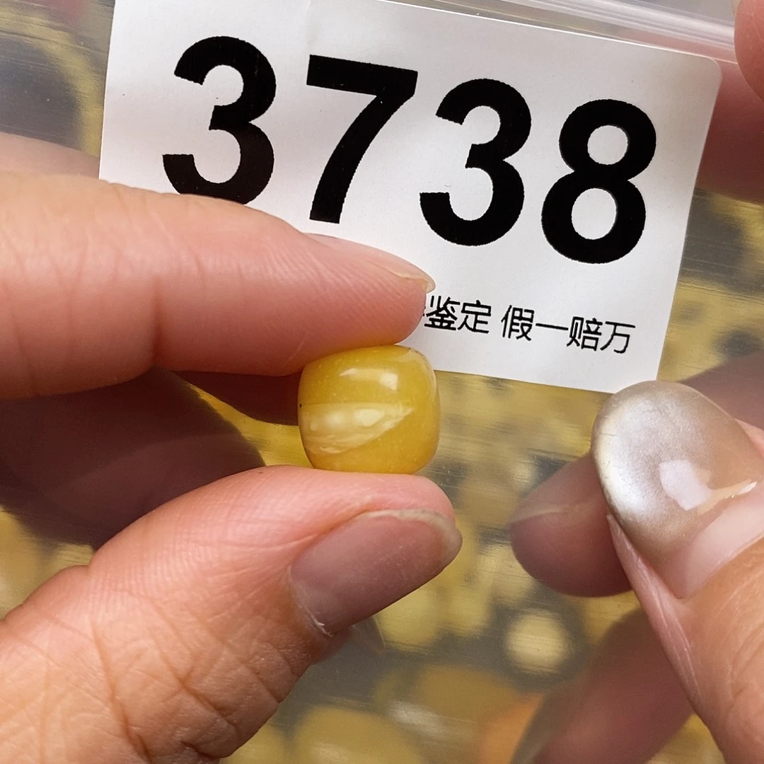 琥珀未镶嵌珠宝奇石11.7