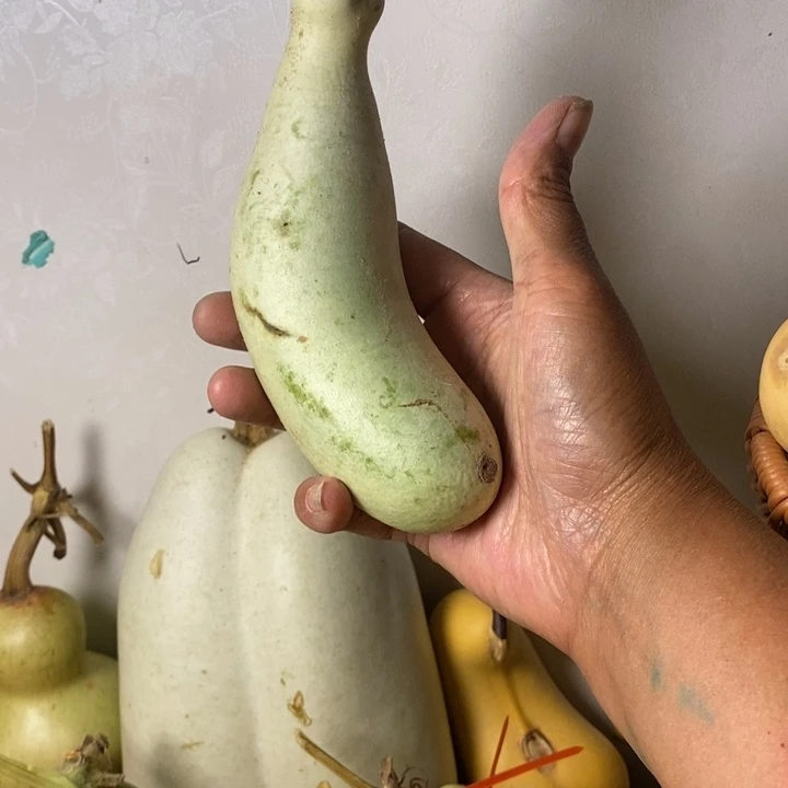 明***哥青皮腰子葫芦手把件摆件
