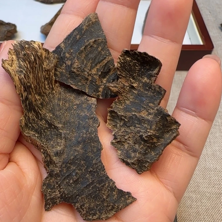 沉香摆件海南东方包头4.2克