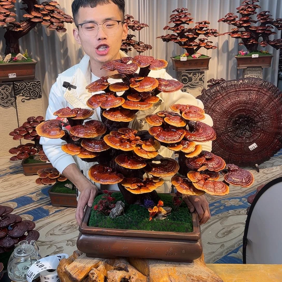 无花朵888888888888