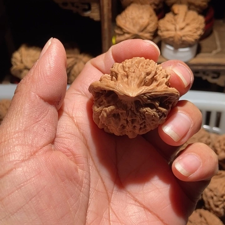 治***馆核桃官帽蛇尺寸40全品