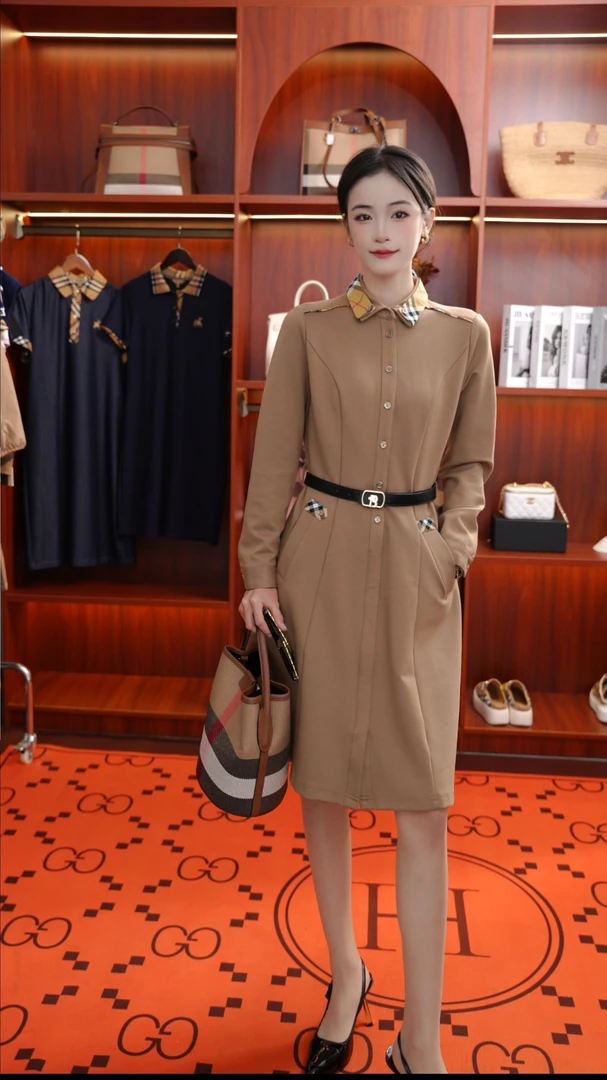 中长裙连衣裙不褪色女款秋冬百搭刺绣翻领休闲秋季轻奢气质