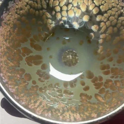 【闪购商品】茶盏-27.............