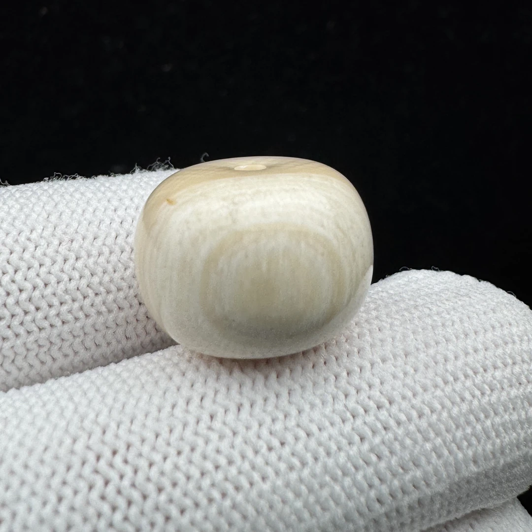 D3991天然猛犸牙 墩子 16.5*12.4mm支持鉴定 假一罚四
