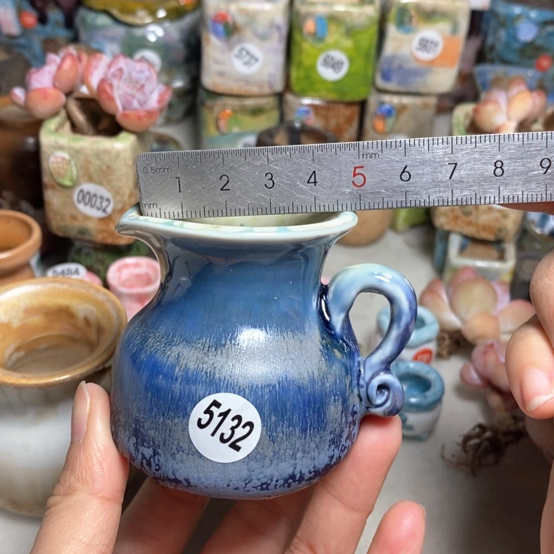 拍5送一个小礼物，不含多肉