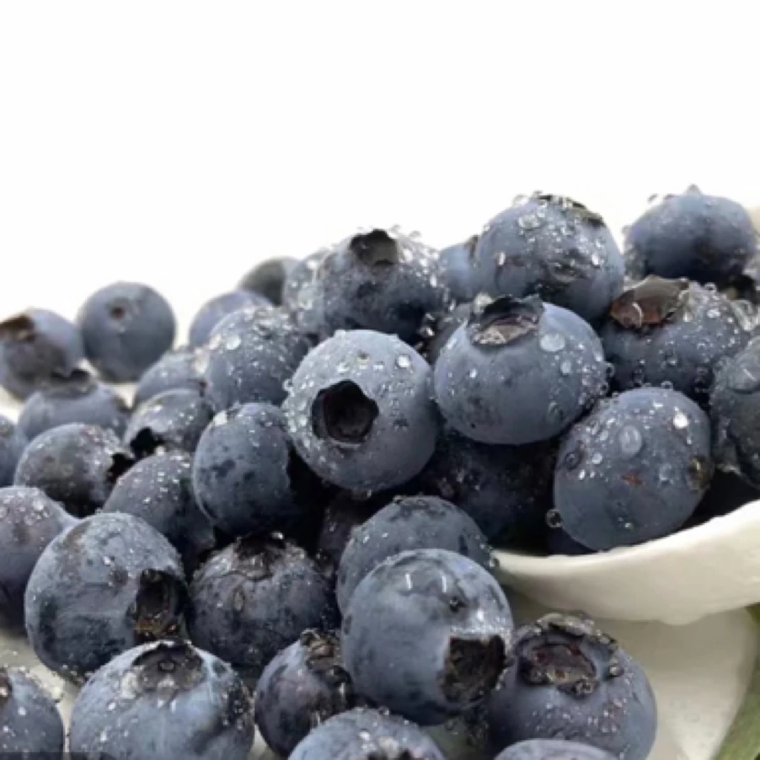 鲜果蓝莓好吃 18-20➕