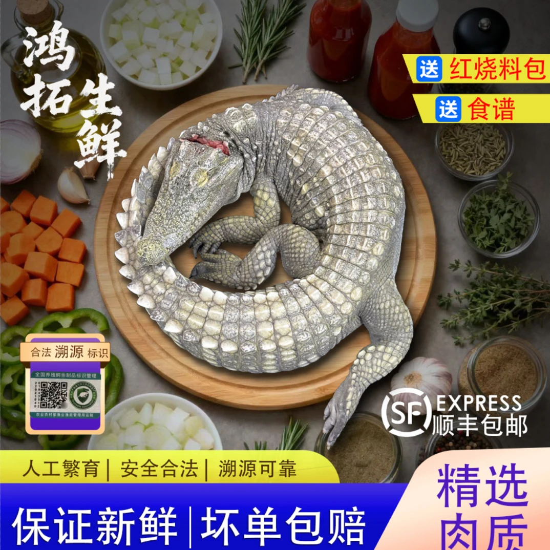 新鲜现杀整条鳄鱼10斤起带皮整条鳄鱼去好鱼鳞人工养殖鳄鱼肉烧烤