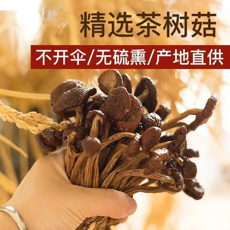 【精选茶树菇】菌香浓郁天然无硫品质佳