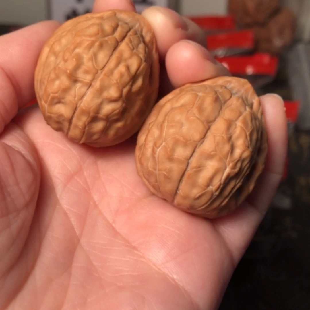 【闪购商品】文玩核桃把件龟甲纹