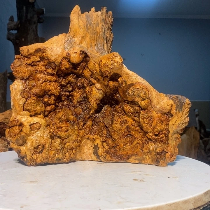 ～****～我们都是你的粉丝128