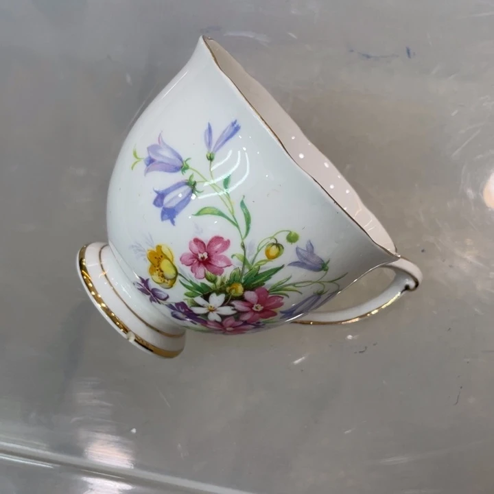 盘维多利亚欧洲中古