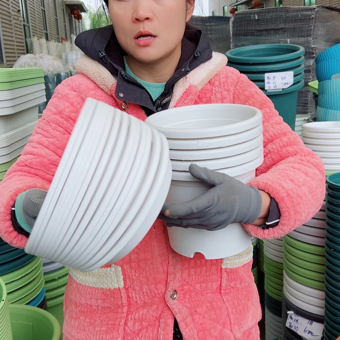 瑕疵托盘YT210#白色10个