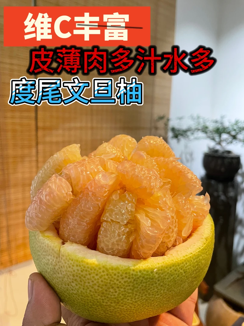 度尾文旦柚红心蜜柚福建仙游度尾柚柚子新鲜应季孕妇水果酸甜多汁