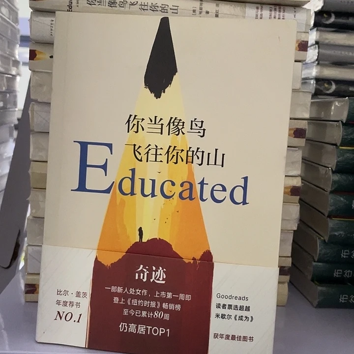 你当像鸟 平装带塑封