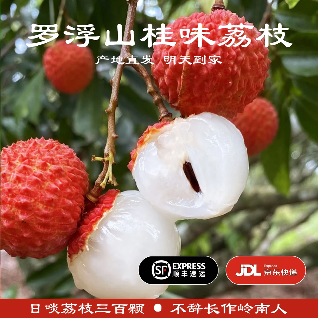 【明天到家】桂味荔枝广东罗浮山荔枝新鲜现摘广东荔枝老树桂味肉厚核小应季水果甜蜜多汁桂花香顺丰京东包邮