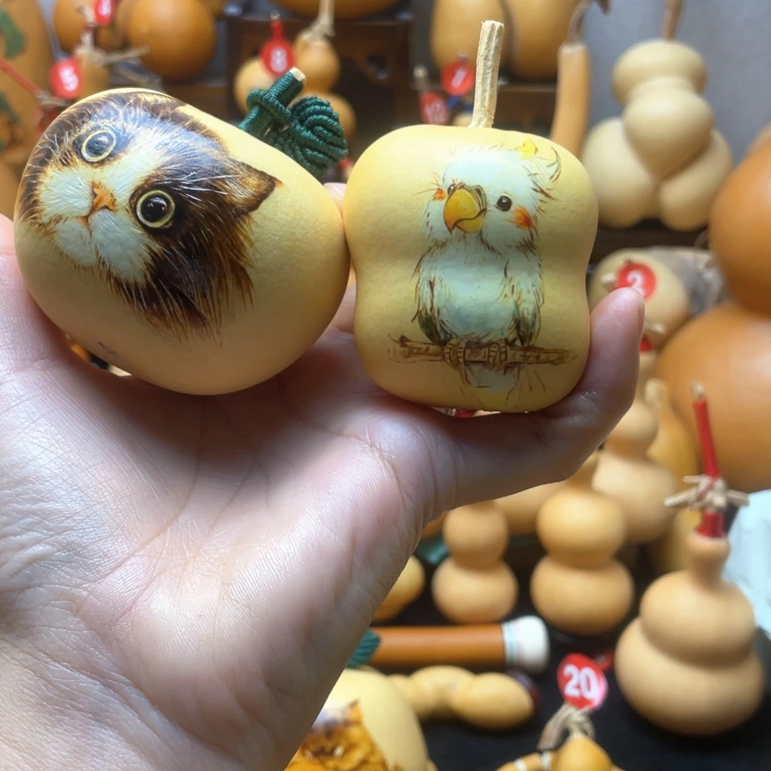 泡**猫大自然的秘密是什么呢我也想