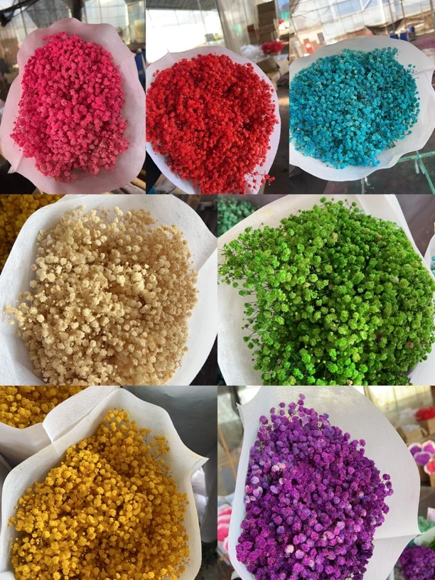 永生满天星BC级花束（不售后介意勿拍）