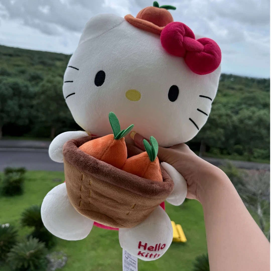 【济州岛限定】HelloKitty 抱丑橘果农 hellokitty 玩偶 公仔