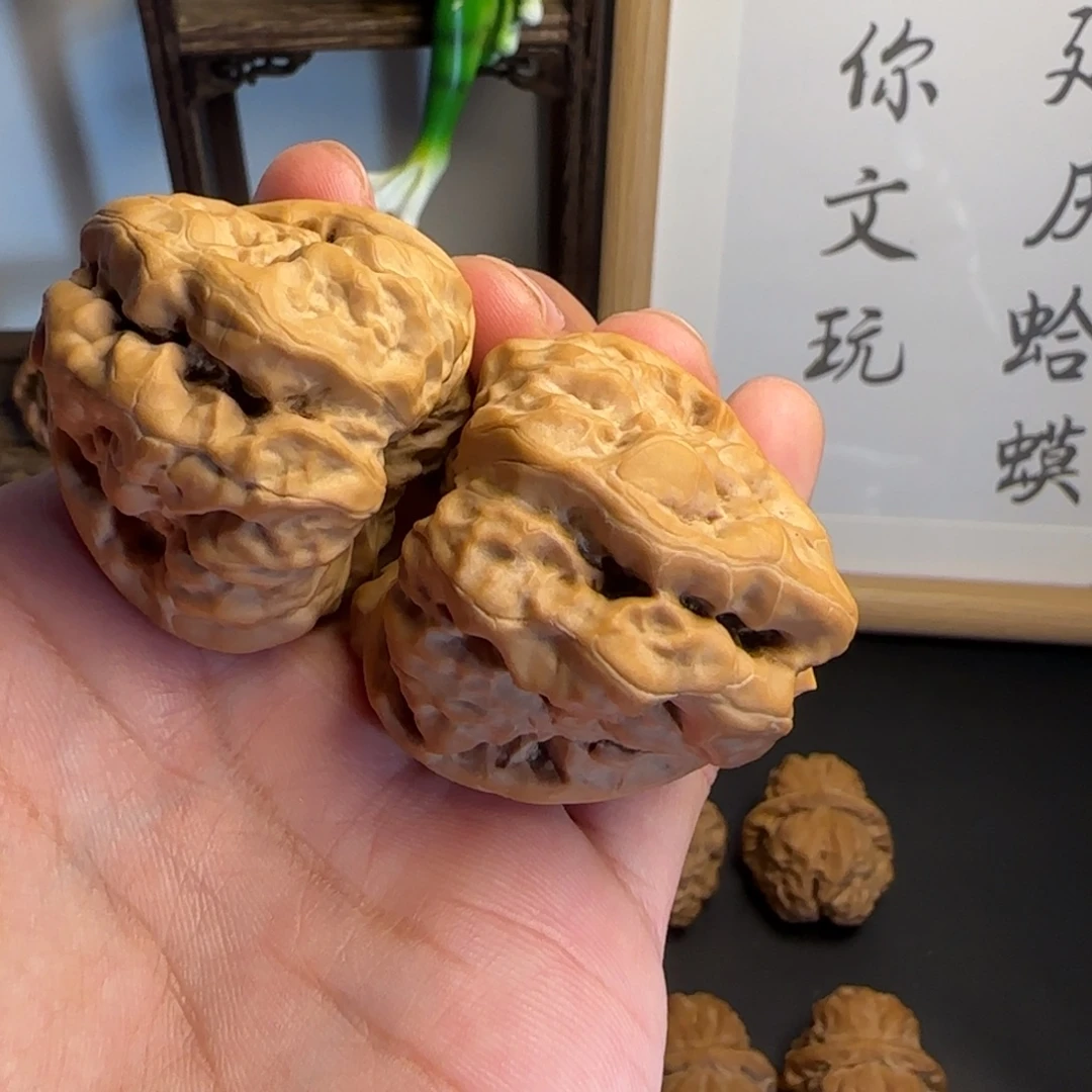 执***念蛤蟆头娃王43✖️48