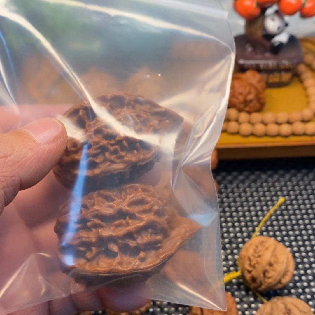 少***少秦岭森林中出现许多鸟类或