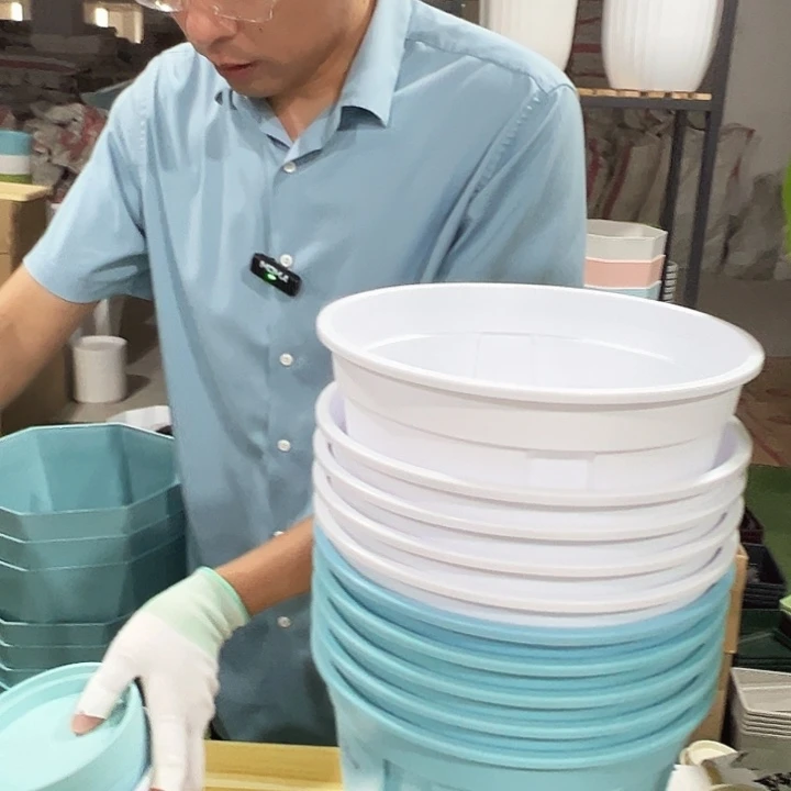 青山口21高21混色带托10只