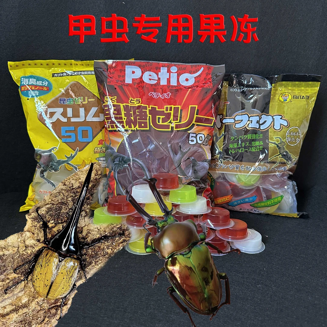 甲虫果冻独角仙锹甲饲料蛋白黑糖彩虹毛象金龟子兜虫成虫天牛食物