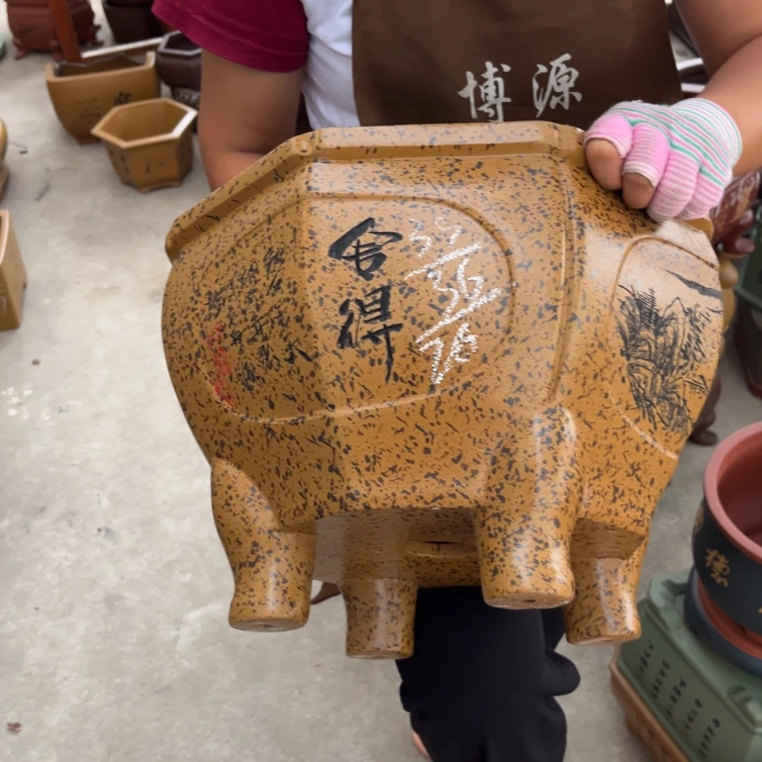 紫砂花盆盆景艺术
