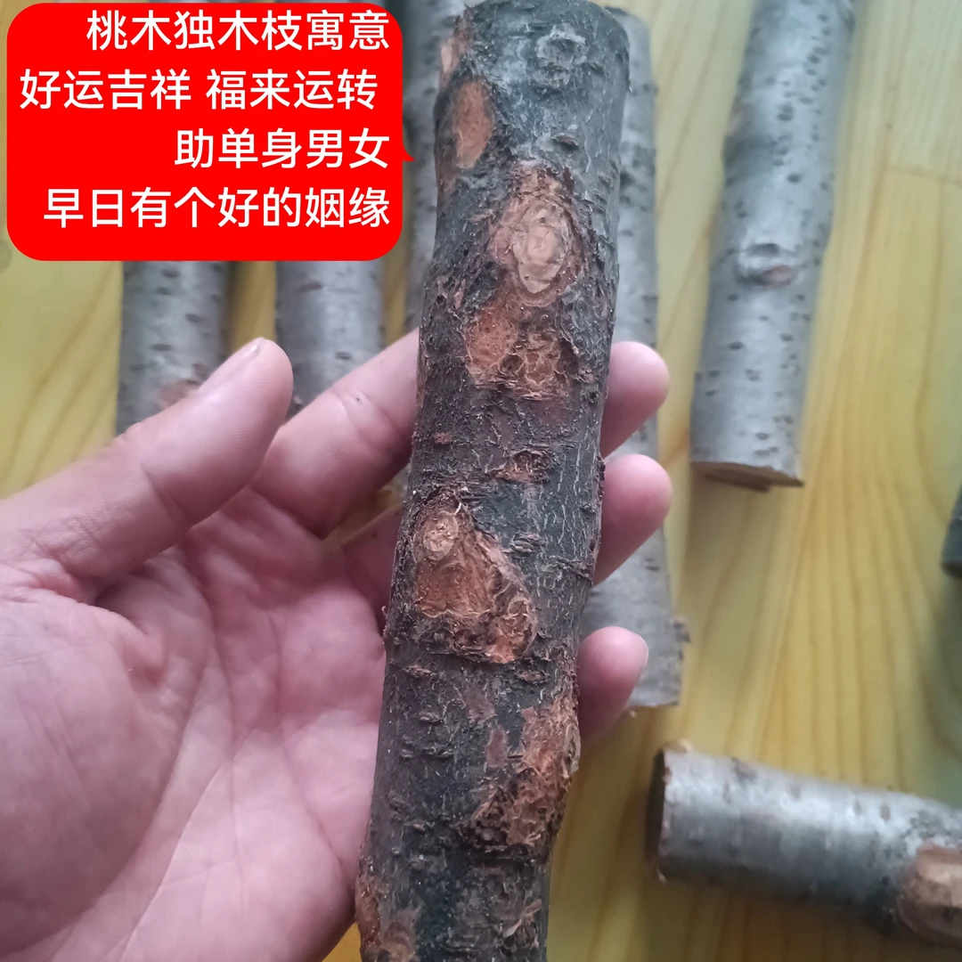 山上野生东南方向桃木