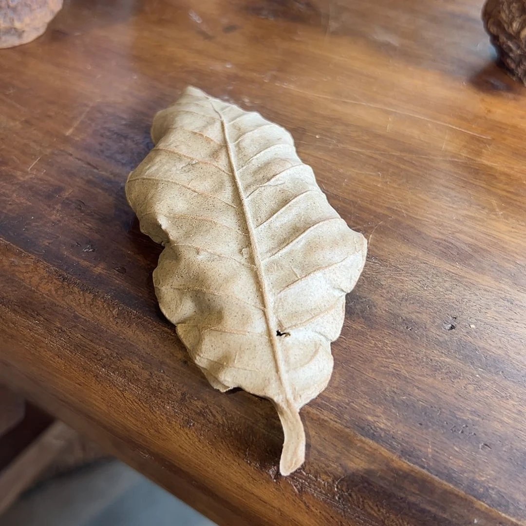 树叶陶瓷作品一物一件