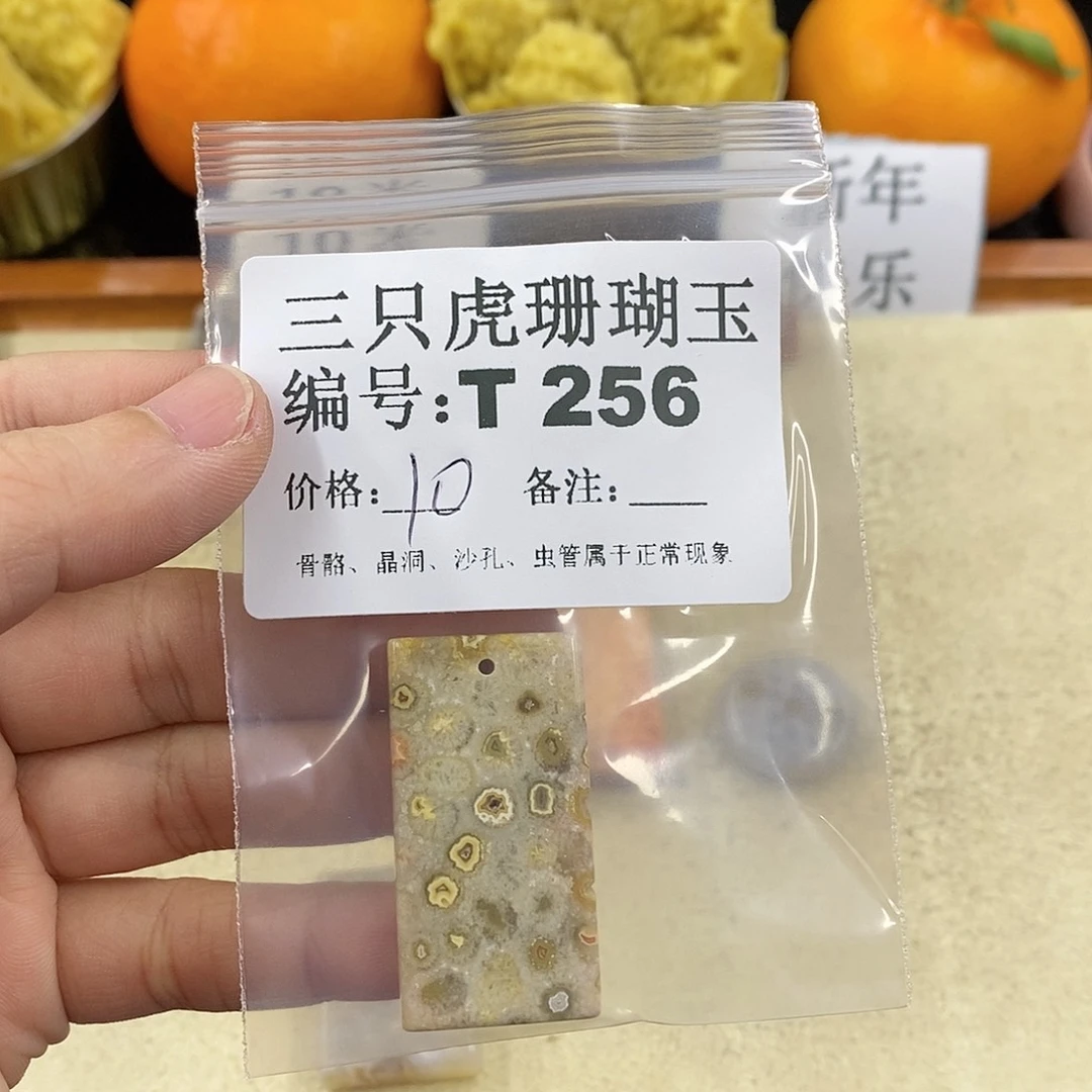 硅化珊瑚（珊瑚玉）1未镶嵌飘