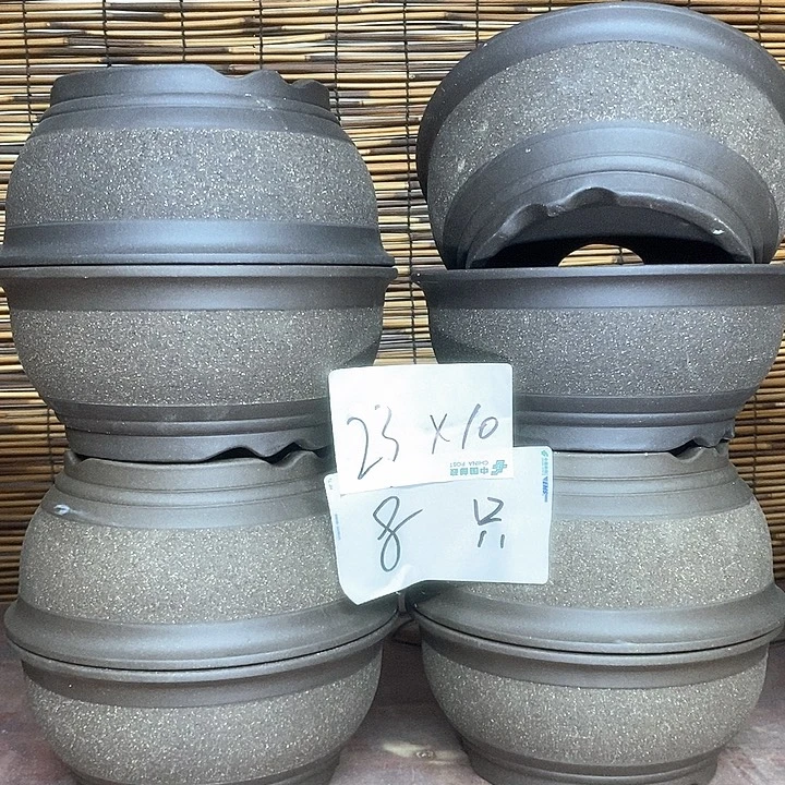 紫砂花盆我在外面