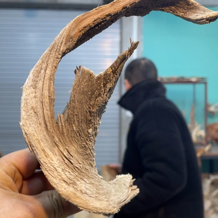 隔**唐我们都是好孩子呀