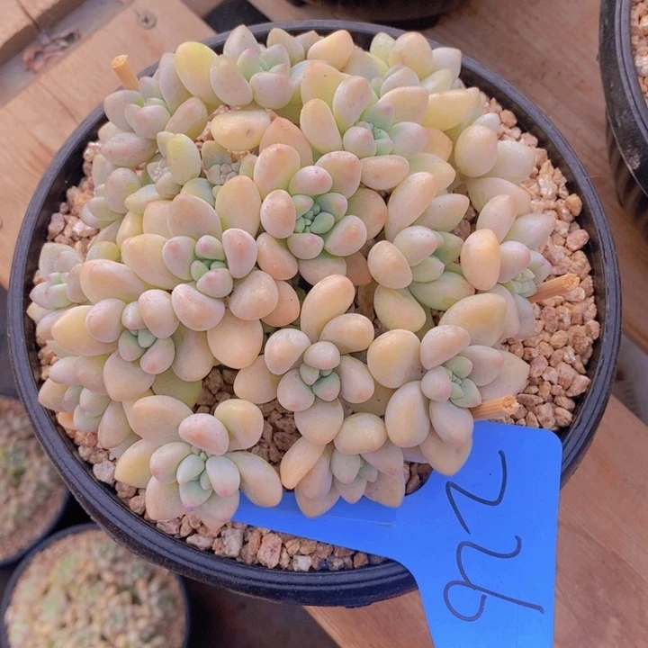 这么多事不给人家