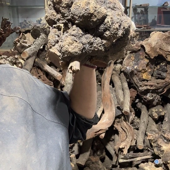 香榧木凉火琉璃的故事毛料