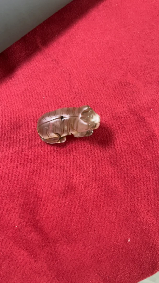 小水晶小老虎崽崽