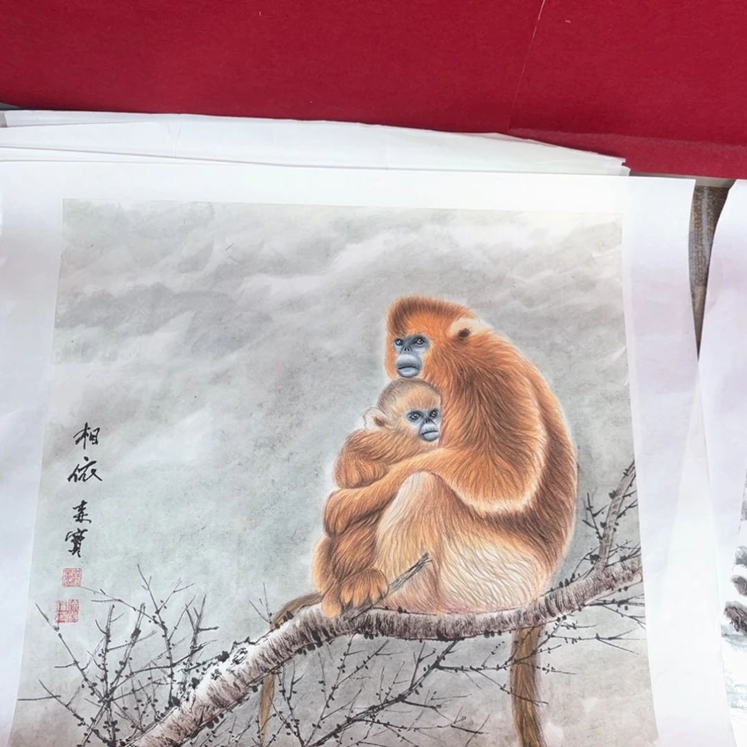 *****国画徐森宝老师四尺斗方花鸟qiqi