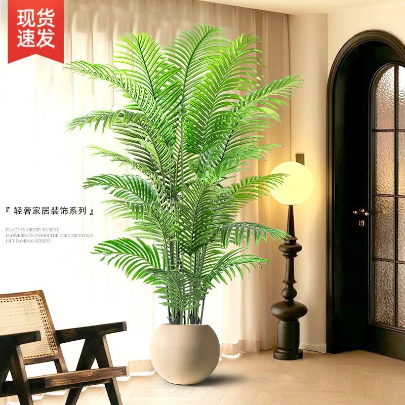 新疆西藏包邮永生散尾葵四季绿植客厅轻奢落地盆栽北欧风装饰摆件