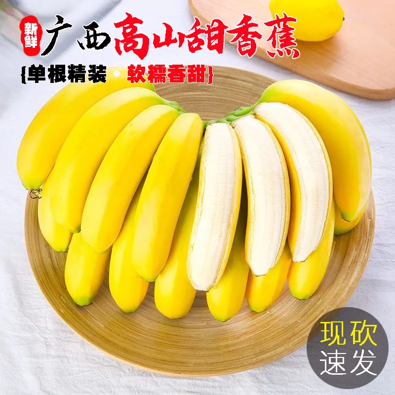 [官补福利]广西高山甜香蕉5/9斤当季新鲜现摘香甜软糯水果大芭蕉