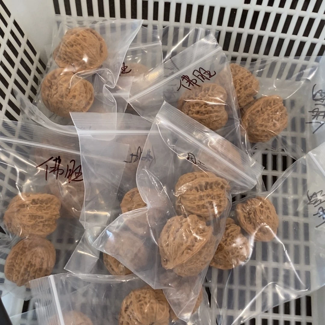 文玩核桃吊坠佛肚